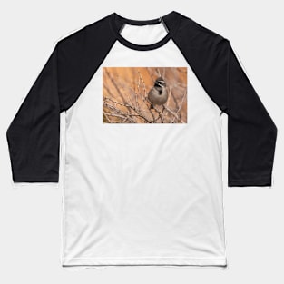 Black-Throated Sparrow Baseball T-Shirt